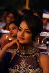 Rowdy Movie Audio Launch